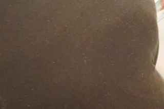 ask about my special / In calls only - Image 3